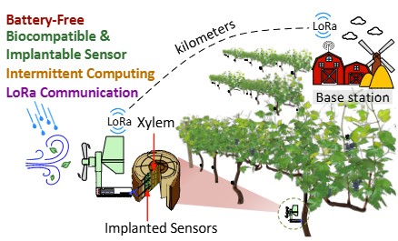 iotree_2022.jpg